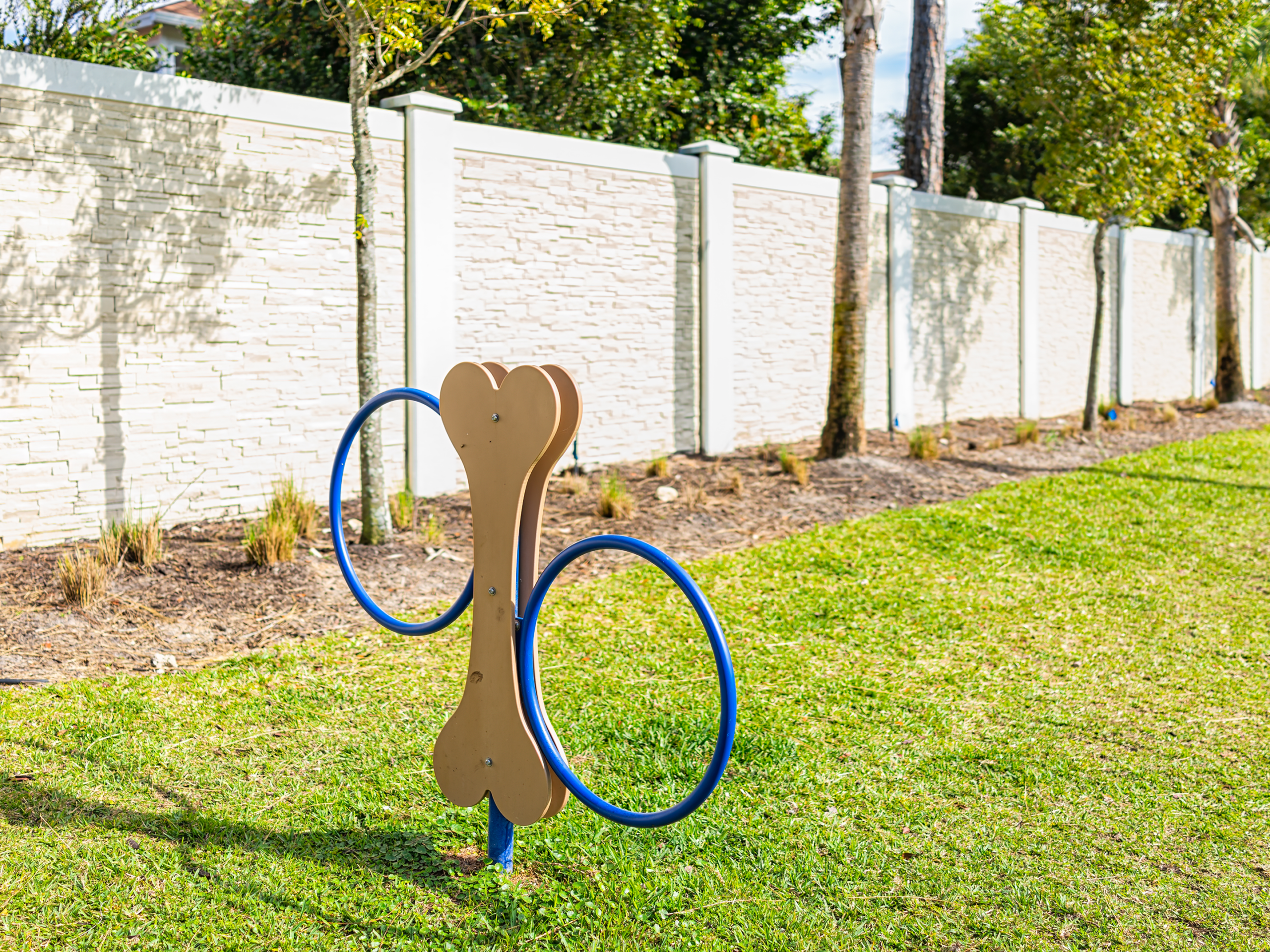 Blue hoops on green grass